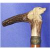 Image 1 : Stag Handle Dog Head Cane