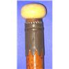 Image 1 : Antq Ivory Knob Cane
