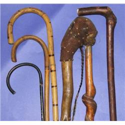 Walking Stick Lot