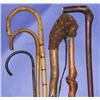 Image 1 : Walking Stick Lot