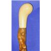Image 1 : Antq Ivory Knob Cane