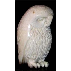 TOC Ivory Owl