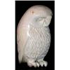 Image 1 : TOC Ivory Owl