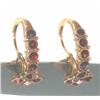 Image 1 :  Garnet Gold Earrings