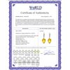 Image 2 : Genuine 19.15 ctw Citrine & Diamond Earrings 14KT Rose Gold - REF-49H2X