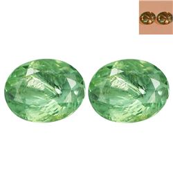 BEAUTIFUL PAIR NATURAL CERTIFIED ALEXANDRITES
