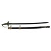 Image 1 : RARE CONFEDERATE STAFF AND FIELD OFFICER'S SWORD 
