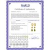 Image 2 : Genuine 5.15 ctw Peridot & Citrine Earrings 14KT Yellow Gold - REF-61R8P