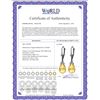 Image 2 : Genuine 14 ctw Citrine Earrings 14KT Rose Gold - REF-34P3H