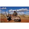 Image 1 : FOUR DAY SOUTH AFRICAN SAFARI FOR 1 HUNTER AND ONE OBSERVER, INCLUDING TROPHY FEES FOR GEMSBOK, BLUE