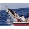 Image 1 : 6 DAY MEXICAN SALTWATER FISHING TRIP FOR ONE