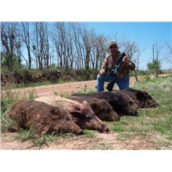 ALL THE TEXAS HOGS YOU CAN SHOOT FOR THREE HUNTERS