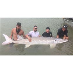 4 PERSON WHITE STURGEON ADVENTURE ON THE FRASER RIVER