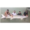 Image 1 : 4 PERSON WHITE STURGEON ADVENTURE ON THE FRASER RIVER