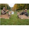 Image 1 : OHIO WHITE-TAILED DEER HUNT FOR TWO HUNTERS
