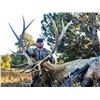 Image 3 : SIX DAY BOW OR FIVE DAY MUZZLELOADER/RIFLE HUNT FOR TROPHY ELK IN NEW MEXICO