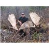 Image 1 : SEVEN DAY BRITISH COLUMBIA MOOSE HUNT FOR ONE HUNTER
