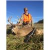 Image 2 : 5/6 DAY TROPHY IOWA WHITETAIL HUNT