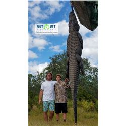 TWO PERSON/TWO ALLIGATOR FLORIDA HUNT