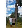 Image 1 : TWO PERSON/TWO ALLIGATOR FLORIDA HUNT