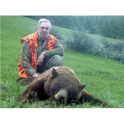 6 DAY SPRING BEAR HUNT FOR 1 IN MONTANA