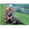 Image 1 : 6 DAY SPRING BEAR HUNT FOR 1 IN MONTANA