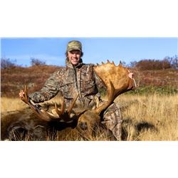 NEWFOUNDLAND MOOSE HUNT FOR ONE