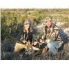 Image 1 : FIVE DAY NORTHERN MEXICO WHITETAIL OR CARMEN MOUNTAIN DEER HUNT FOR ONE HUNTER