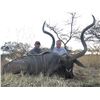 Image 1 : SEVEN DAY KUDU AND SABLE HUNT IN SOUTH AFRICA FOR TWO HUNTERS