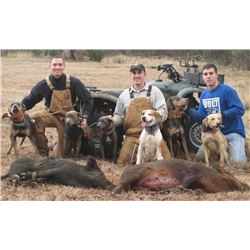 FLORIDA WILD BOAR HUNT WITH BAY DOGS FOR FOUR HUNTERS
