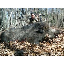 UPPER PENINSULA BOAR  HUNT