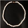 Image 2 : White Akoya Shell Pearl Necklace 49 Pearls In Total