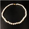 Image 1 : White Akoya Shell Pearl Necklace 49 Pearls In Total