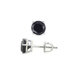 14K White Gold 2.04 ctw Black Diamond Stud Earrings - REF-119M2Y