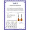 Image 2 : Genuine 5 ctw Citrine Earrings 14KT White Gold - REF-35Y2F