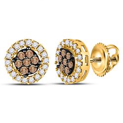 Brown Diamond Flower Cluster Screwback Stud Earrings 1/4 Cttw 10k Yellow Gold