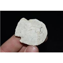 1 3/4" Blunt Point, St Louis Co, Missouri