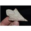 Image 2 : 2 5/8" Adena Point, Saline Co, Missouri