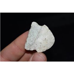 1 1/4" Stunner Point, St Louis Co, Missouri