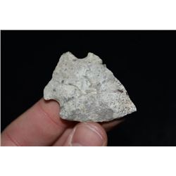 1 3/4" Rice Lobe Point, Cooper Co, Missouri