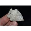 Image 2 : 1 3/4" Rice Lobe Point, Cooper Co, Missouri