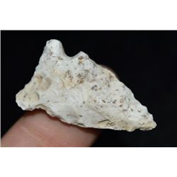 1 1/2" Robinson Point, Jefferson Co, Missouri