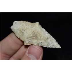 2 1/4" Dickson Point, Marion Co, Missouri