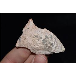 2 1/4" Rice Side Notch Point, Osage Co, Missouri