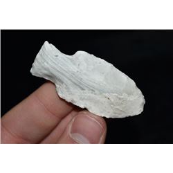 2 1/4" Table Rock Point, Jefferson Co, Missouri