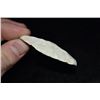 Image 3 : 2 1/2" Thumb Scraper, Paleo, St Louis Co, Missouri