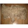 Image 4 : VERY RARE QUARTZ CRYSTAL GEODE IN THE NATURAL SHAPE OF A TEDDY BEAR WITH VERY LARGE POINTS