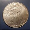 Image 1 : 1996 AMERICAN SILVER EAGLE UNC