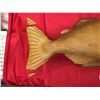 Image 2 : A Very Well Carved Salmon. Yellow weighs about 30lbs. 41" L x 16" h x 6" Thick. The Back Fin has 2 P