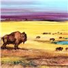 Image 2 : "Where the Buffalo..." Limited Edition Giclee on Canvas by Martin Katon, Numbered and Hand Signed. T